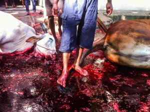 Dhaka, Bangladesh - October 06: Butcher in the blood.